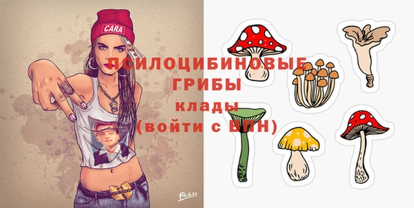 гашик Киреевск