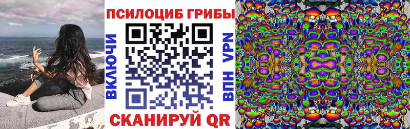 Купить закладки Кузнецк Галлюциногенные грибы мухоморы